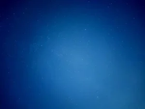 共情